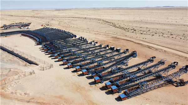 34 Units - Senet 1350mm (54") W X 38m (125') L Grasshopper Conveyors)